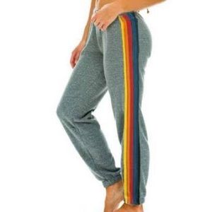 Aviator Nation 5 strip sweatpants!